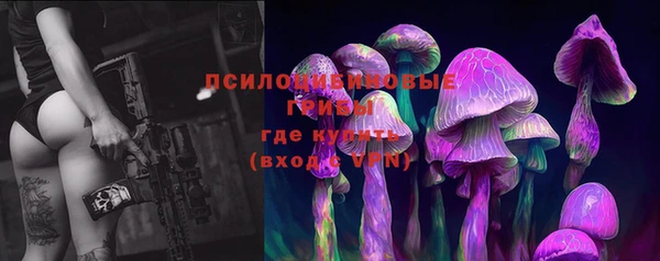 индика Вяземский
