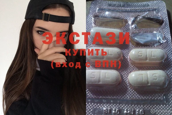 индика Вяземский