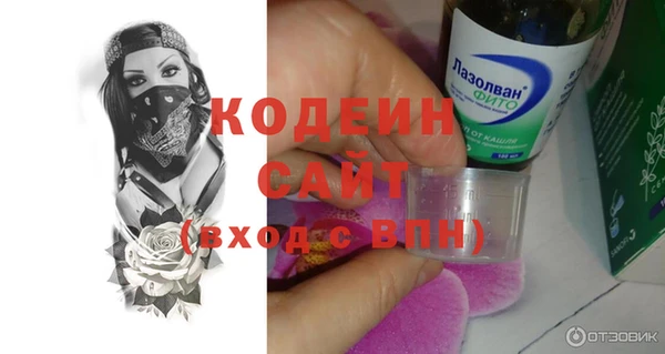 индика Вяземский