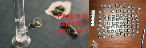 индика Вяземский