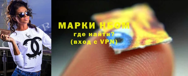 индика Вяземский