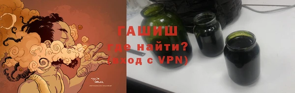 индика Вяземский