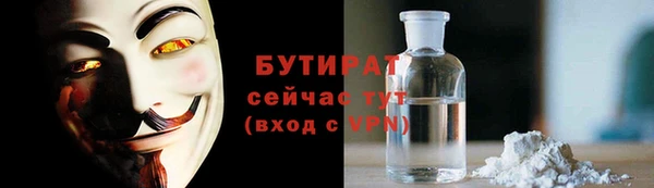 индика Вяземский