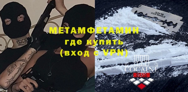 индика Вяземский