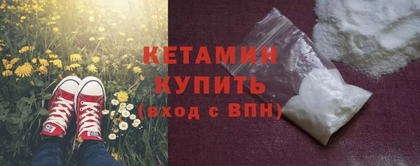индика Вяземский