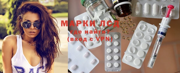 индика Вяземский